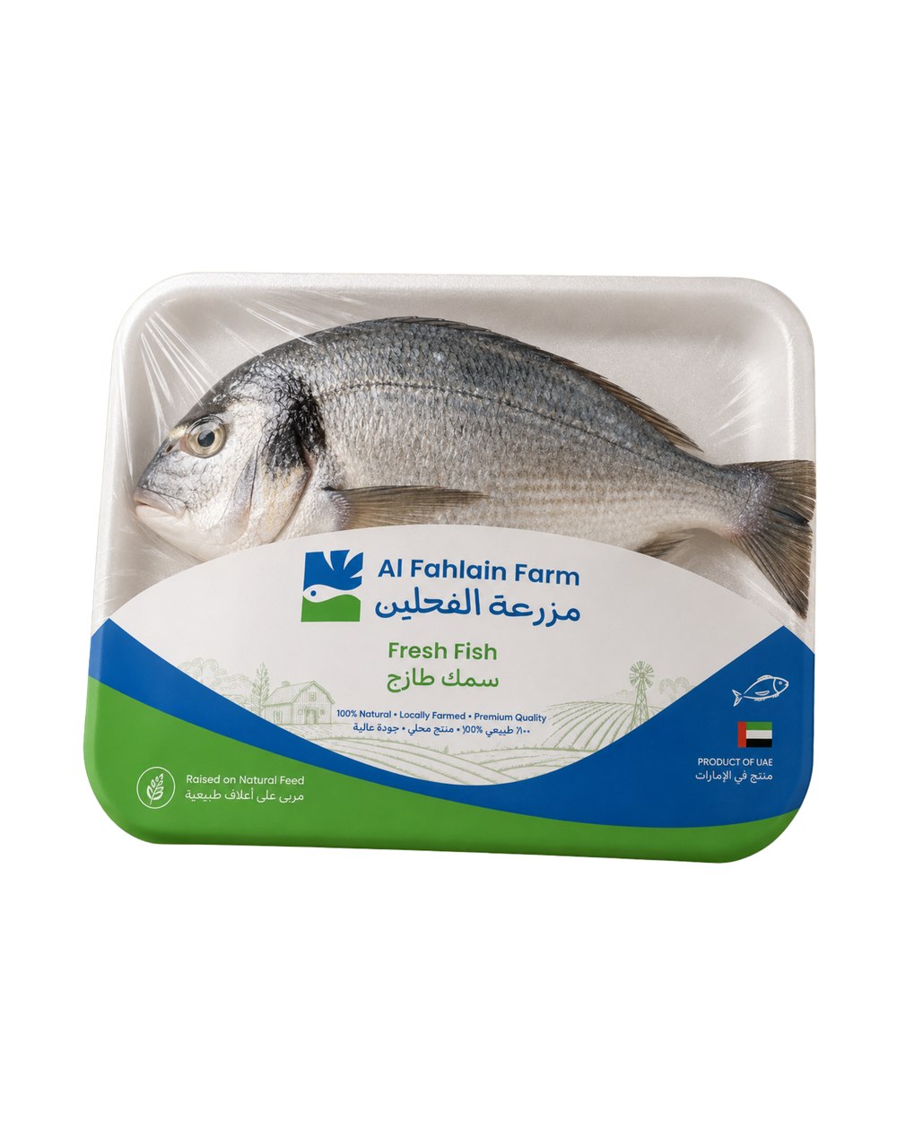 Fresh Carp (Maskoot)