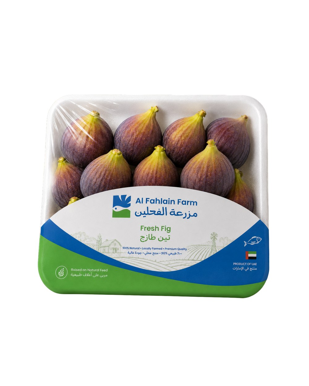 Fresh Fig